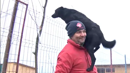 Într-o noapte de decembrie, Marius a primit un telefon care i-a schimbat viața. Românul care a renunțat la slujba de la bancă pentru a face „Crăciunul cățeilor