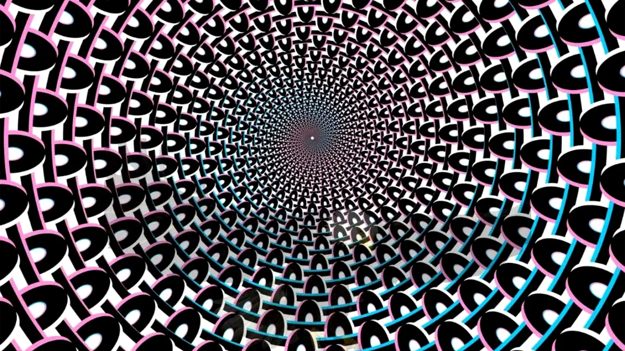 Test de inteligență | Ce pasăre se ascunde în această iluzie optică?