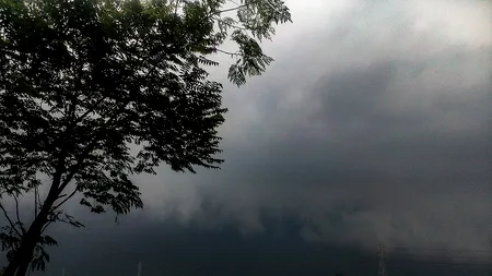 ANM a transmis avertizare imediată tip cod galben de vânt puternic în 4 județe. Vântul va sufla cu 110 km/oră și sunt așteptate ninsori