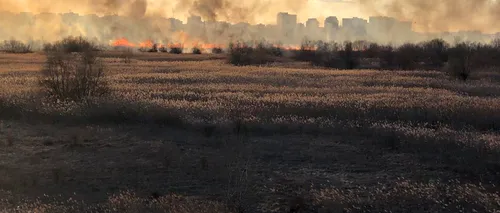 Incendiul din Delta Văcăreşti din Capitală a fost stins după patru ore