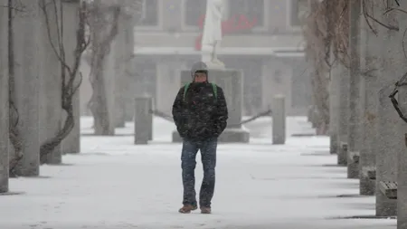 Cel puțin 10 morți și mii de zboruri anulate în SUA din cauza zăpezii. Stare de urgență, decretată în zece state