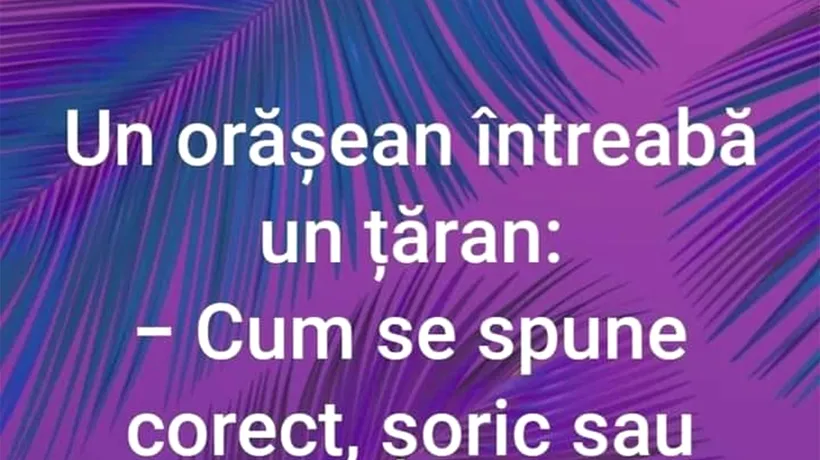 BANCUL ZILEI | Cum se spune corect: șoric sau șorici?