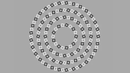 Iluzie optică virală | Câte cercuri sunt, în total? GENIILE dau răspunsul corect în 5 secunde