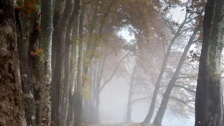 ALERTĂ METEO. Cod galben de ceață în mai multe județe din țară Până când este valabilă avertizarea