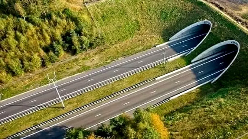 CNAIR are nou termen pentru a desemna CÂȘTIGĂTORUL celui mai scump lot de AUTOSTRADĂ din România. Când se va anunța constructorul pentru Lotul Meseș