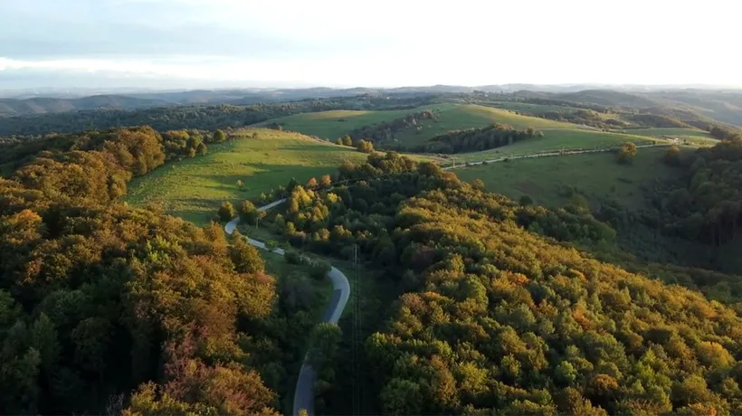 Cea mai mare pădure din România. Are 17.100 hectare și este la doar 209 km de București