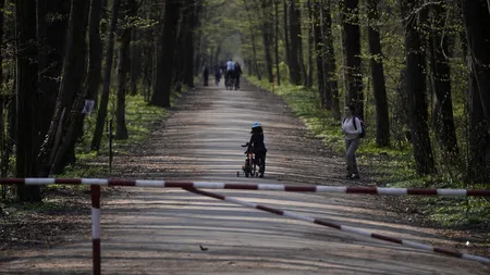 Corpul de Control al Ministerului Mediului vrea sesizarea justiției după verificările privind drumul forestier Băneasa. Care sunt motivele