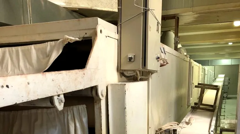 Condiții insalubre de lucru la o fabrică de pâine din România. Produse de patiserie ambalate cu mâinile, fără mănuși, în praf. GALERIE FOTO 