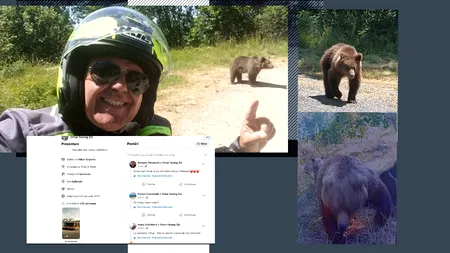 Ursul a lovit din nou, în Argeș. După ce-a omorât un motociclist, animalul a alergat un cioban. Omul și-a rupt piciorul încercând să scape