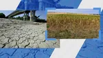 Strategia Europeană pentru Reziliența Apei. 2022, 2023 și 2024, cei mai SECETOȘI ani din istoria recentă a României