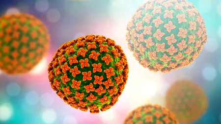 Un bărbat din Neamț este în stare gravă în spital după ce s-a infectat cu un virus periculos. Ce spun specialiștii