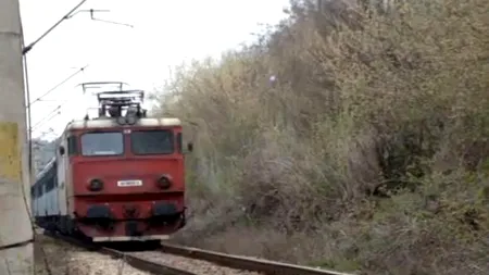 Suceava: Trafic feroviar blocat după ce trei copaci au căzut pe calea ferată, din cauza furtunii