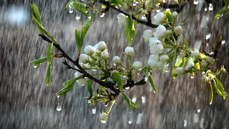 Vești bune de la meteorologii ANM. Când vine primăvara, cu adevărat, în România