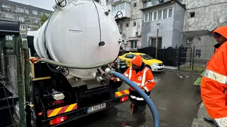 (P) Primăria Sectorului 5 a intervenit pentru salubrizarea Aleii Livezilor. A urmat o adevărată „desfășurare de forțe”