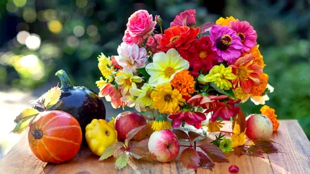 Se întoarce vara? Prognoza meteo actualizată pentru următoarele 4 săptămâni