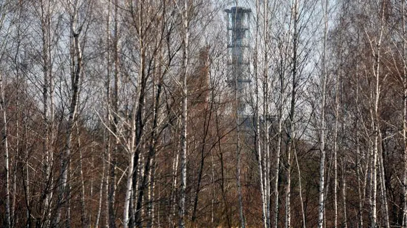 Descoperirea făcută la Cernobîl de oamenii de știință, la 27 de ani de la accidentul nuclear