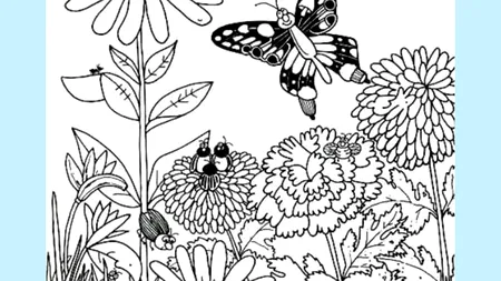 Iluzie optică virală | Ești un geniu dacă poți găsi pisica ascunsă în maximum 5 secunde