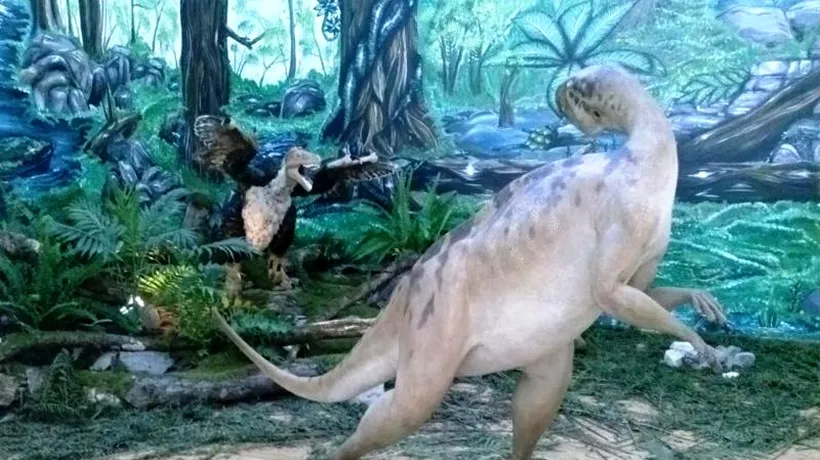 Turiștii vor putea merge pe urmele dinozaurilor pitici pe Valea Dinozaurilor