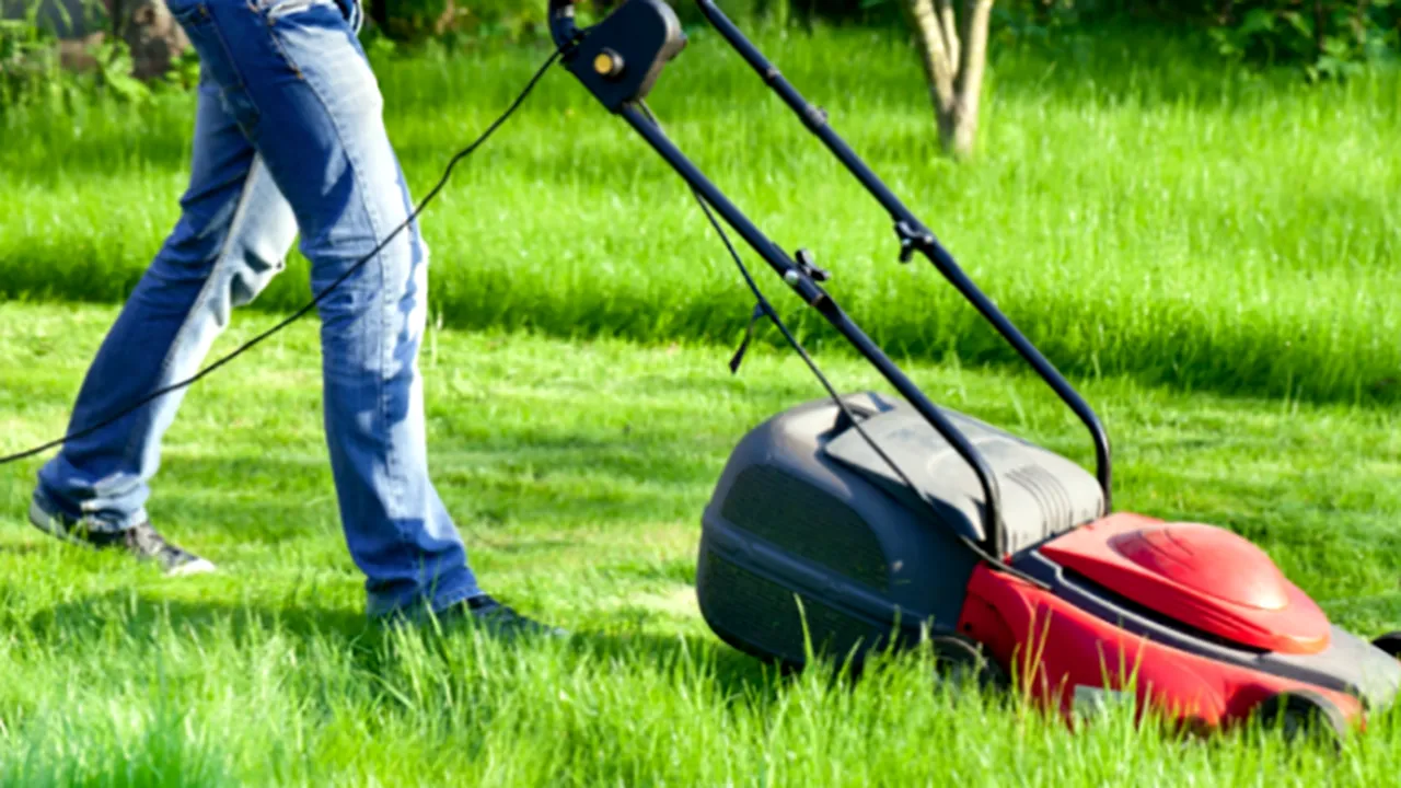 Tundea iarba în grădină, când pământul s-a surpat și a apărut o groapă uriașă cu o scară. Ce a descoperit acolo