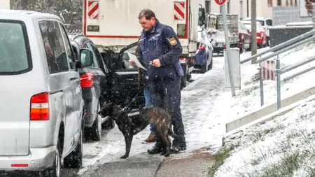 Alexandra, o româncă de 39 de ani a dispărut misterios. Femeia este însărcinată în opt luni, iar Politia o caută cu disperare: „Se certa des cu fostul soț”