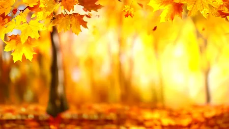 Prognoza meteo pe luna noiembrie. Toamnă târzie și temperaturi peste cele normale