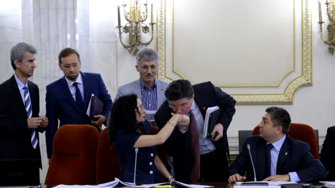 Cine este noul președinte al Comisiei de Revizuire a Constituției