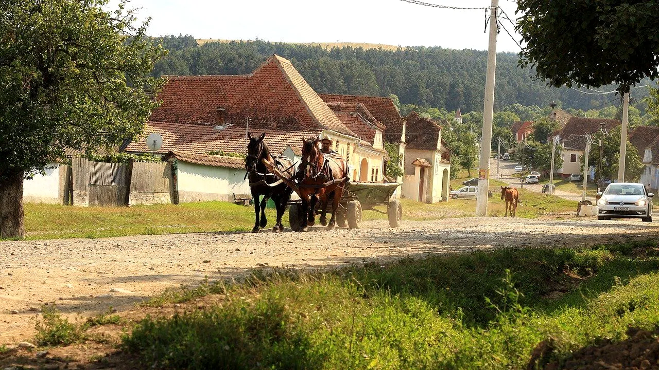 Localitatea din România în care primești GRATUIT o casă. Trebuie să îndeplinești o singură condiție