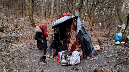 Opt persoane, între care doi copii BOLNAVI, locuiau în adăposturi improvizate într-o pădure de lângă Bistrița. Autoritățile au acționat imediat