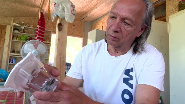 Invazie de scorpioni într-o gospodăria din Buzău. Bărbatul a găsit într-o săptămână peste 10 scorpioni