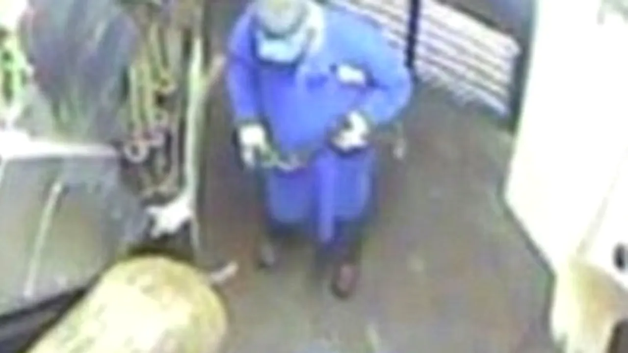 FILMUL înregistrat cu O CAMERĂ ASCUNSĂ care a ȘOCAT milioane de oameni în ANGLIA. ATENȚIE! Imagini de o CRUZIME DEOSEBITĂ