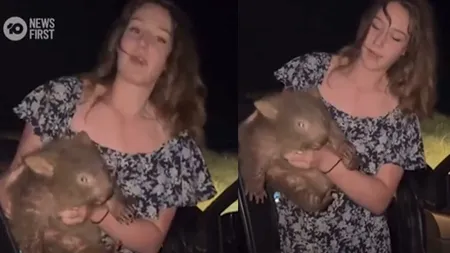 O influenceriță americană s-a filmat când a FURAT un animal protejat prin lege, de lângă mama lui. Australienii, revoltați, au cerut expulzarea ei