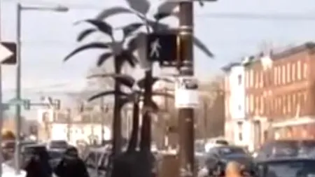 VIDEO: Reacția neașteptată a unui șofer după ce a fost implicat într-un accident