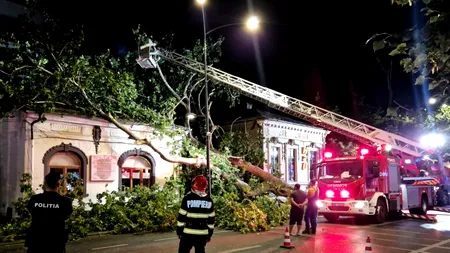 Incident în Capitală: Un arbore a CĂZUT peste o cofetărie situată pe Strada Dorobanți