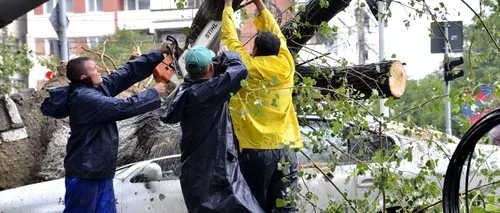 Mașini avariate, copaci dărâmați și terase devastate, în urma unei furtuni în Mamaia