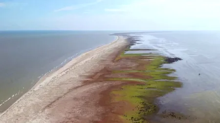 Dr. Florin Zăinescu: ”Ce a spart insula Sacalin din Delta Dunării?”