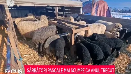 Cel mai scump Paști din MILENIUL trei. Cu cât s-a scumpit masa festivă