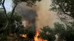 Infern în Grecia: trei pompieri au murit în incendii. Avertismentul MAE pentru români