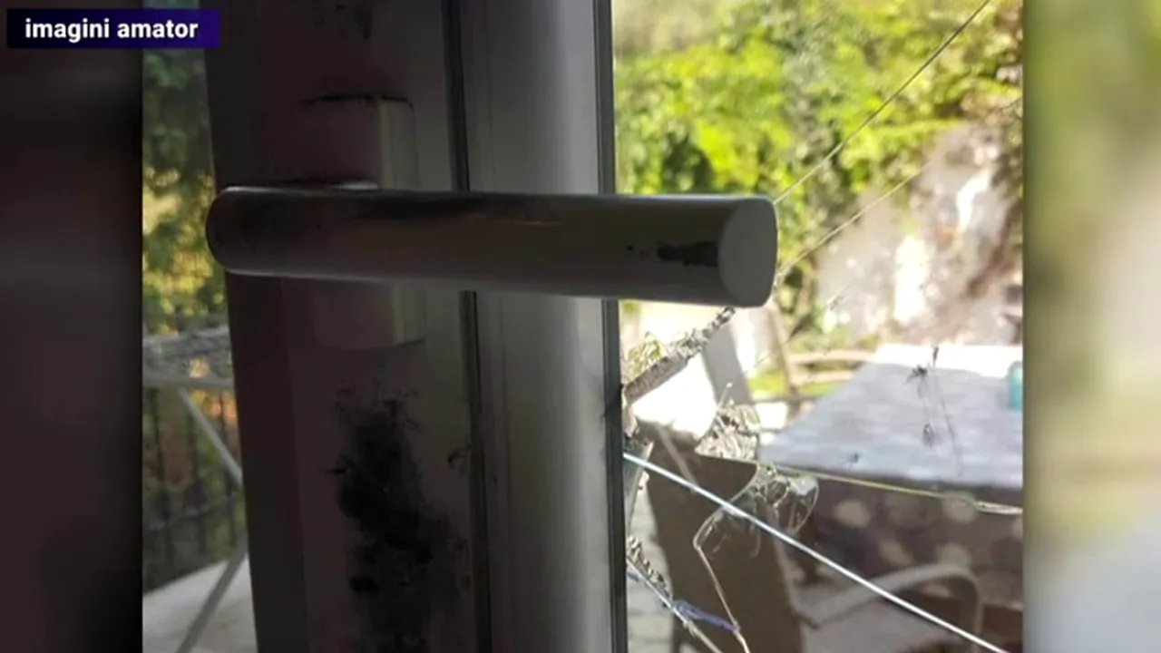 Români JEFUIȚI în Grecia. Când se aflau la plajă, hoții au spart vila în care erau cazați pe insula Thasos și le-au furat toți banii, mai puțin leii