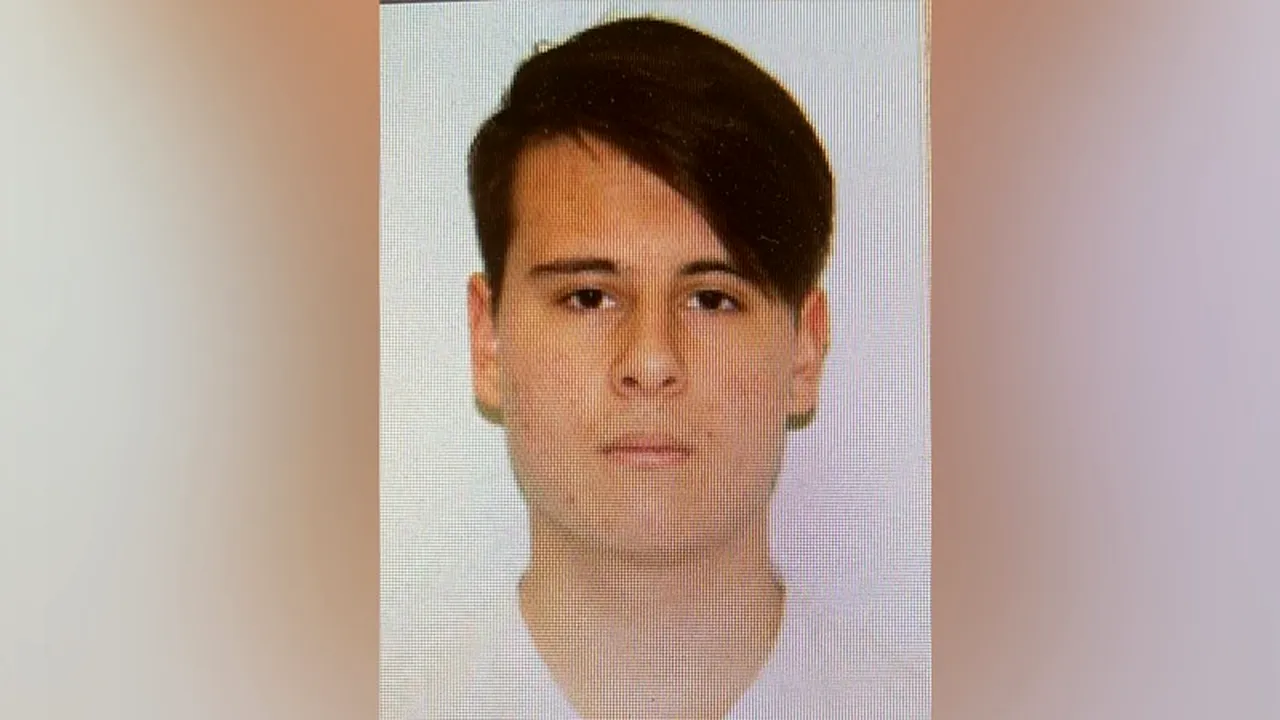 Tânăr de 17 ani, dat dispărut în București. Părinții spun că ar avea asupra sa mai multe arme albe