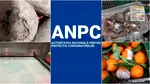 Zeci de supermarketuri amendate de ANPC în prag de sărbători. Produse expirate, mizerie și diferențe de gramaj