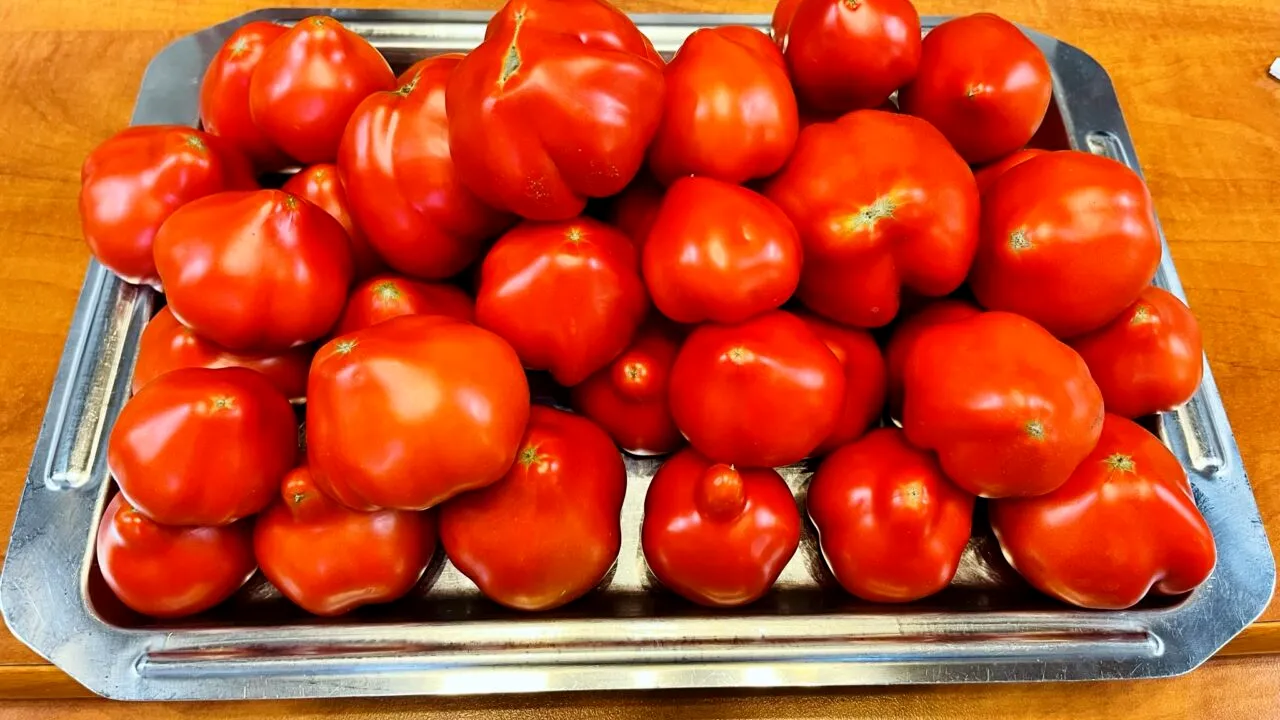 Cine ar fi crezut? Cât costă acum 1 kg de ROȘII în comuna Matca din județul Galați