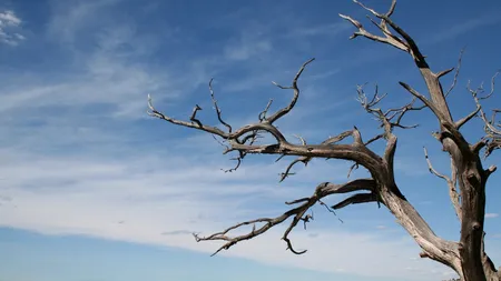 Seceta în Europa și scenariile pentru următorii 100 de ani