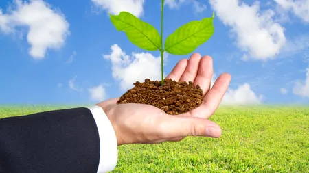 DIRECȚIE. Decidenții de la Bruxelles își doresc înjumătățirea consumului de pesticide și extinderea agriculturii ecologice