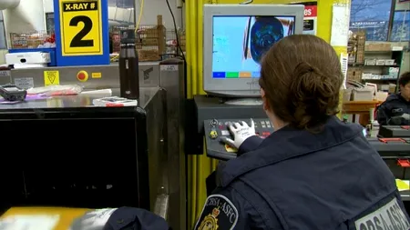 Guvernul canadian, după ce a blocat o sută de imigranți clandestini romi, originari din România: 