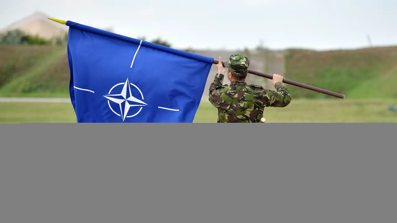 Ministrul Apărării anunță că o țară europeană va deveni în curând al 30-lea membru cu drepturi depline din NATO
