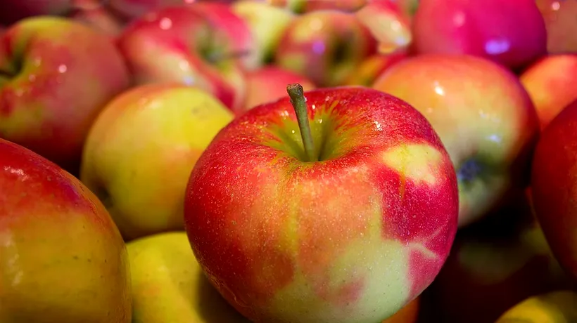 Hrană de PROASTĂ calitate pentru elevi, descoperită în încă o școală. Peste 250 de kilograme de mere stricate, confiscate