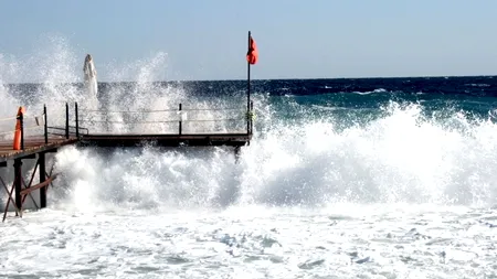 O româncă de 33 de ani a murit înecată în Pacific. Anda a intrat cu iubitul ei în apă și nu a mai ieșit