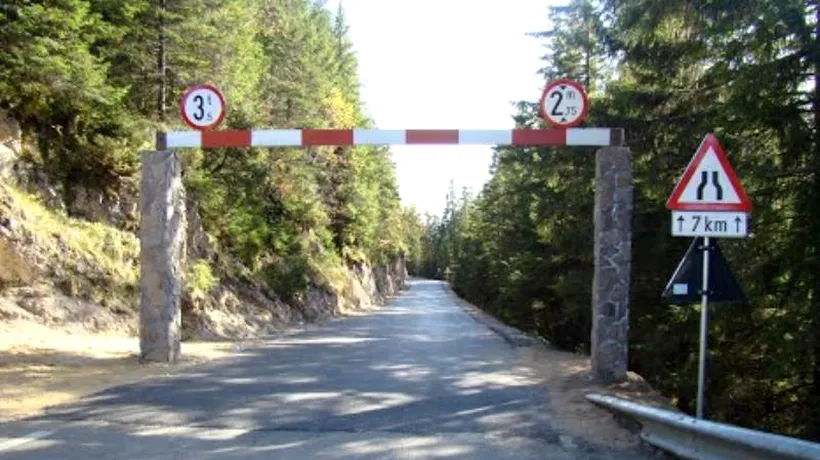 Surpriză pentru transportatorii de lemn care circulă pe drumul turistic Transrarău