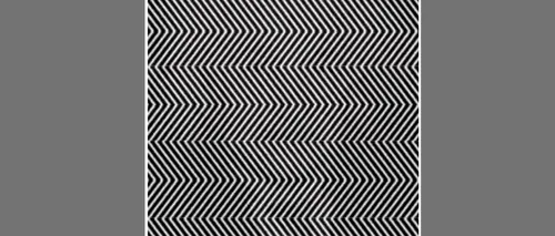 Iluzia optică virală de joi | Ce mare personalitate se ascunde în spatele acestei imagini?