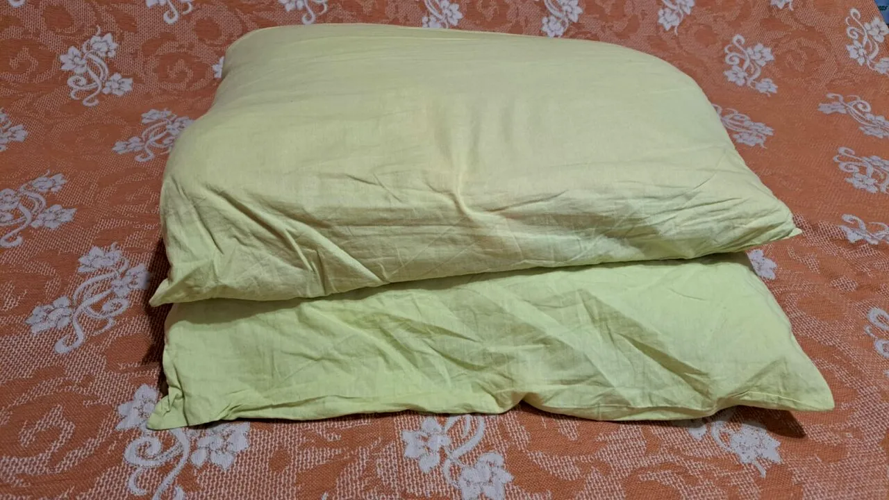 Ingredientul eficient care te ajută să scapi de mirosul de MUCEGAI din perne și plapumă. Costă mai puțin de 5 lei